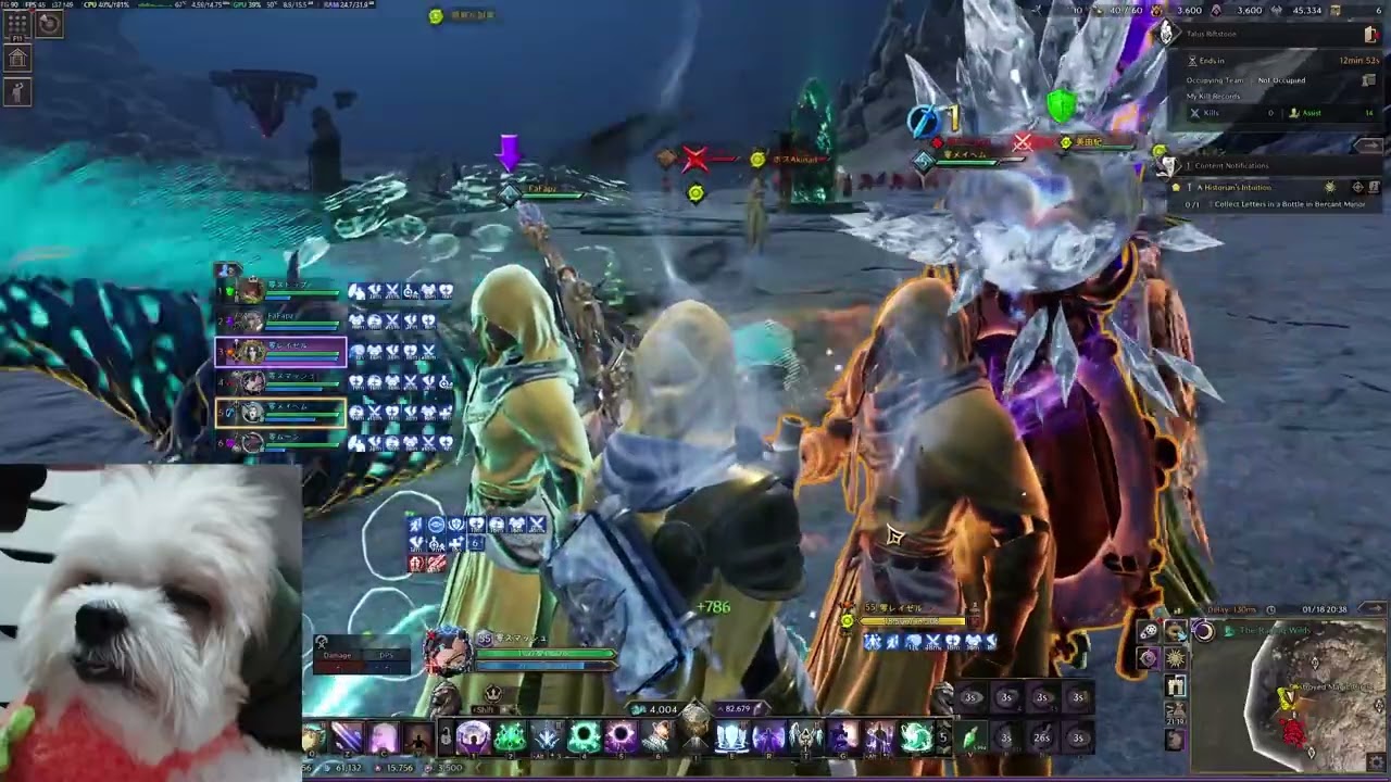 Throne and Liberty | 01/18 Wargames Tuna (Titanspine) vs Anubis (Amethyst)