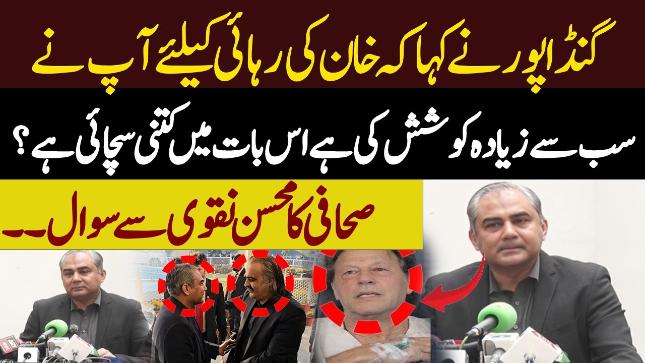 Journalist Questions Mohsin Naqvi on Efforts for Imran Khan’s Release| Hum News | Pakistan
