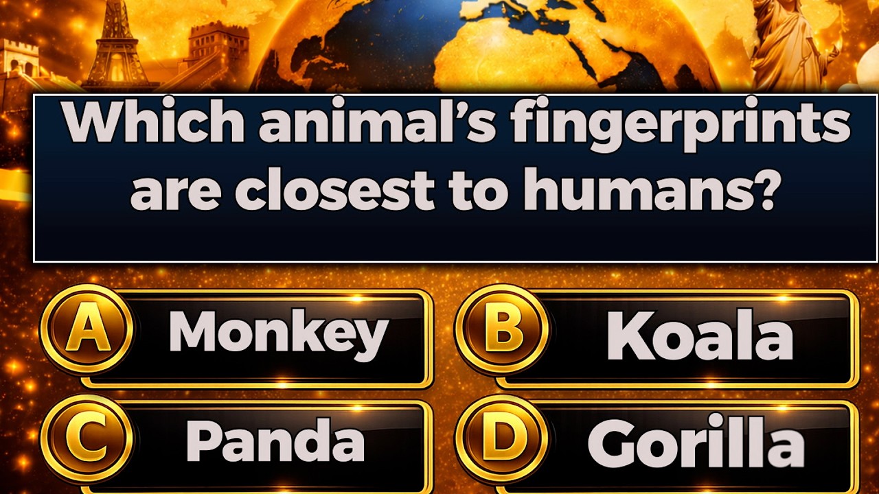 Can You Answer All 17 Questions? Impossible Quiz Challenge! | English GK