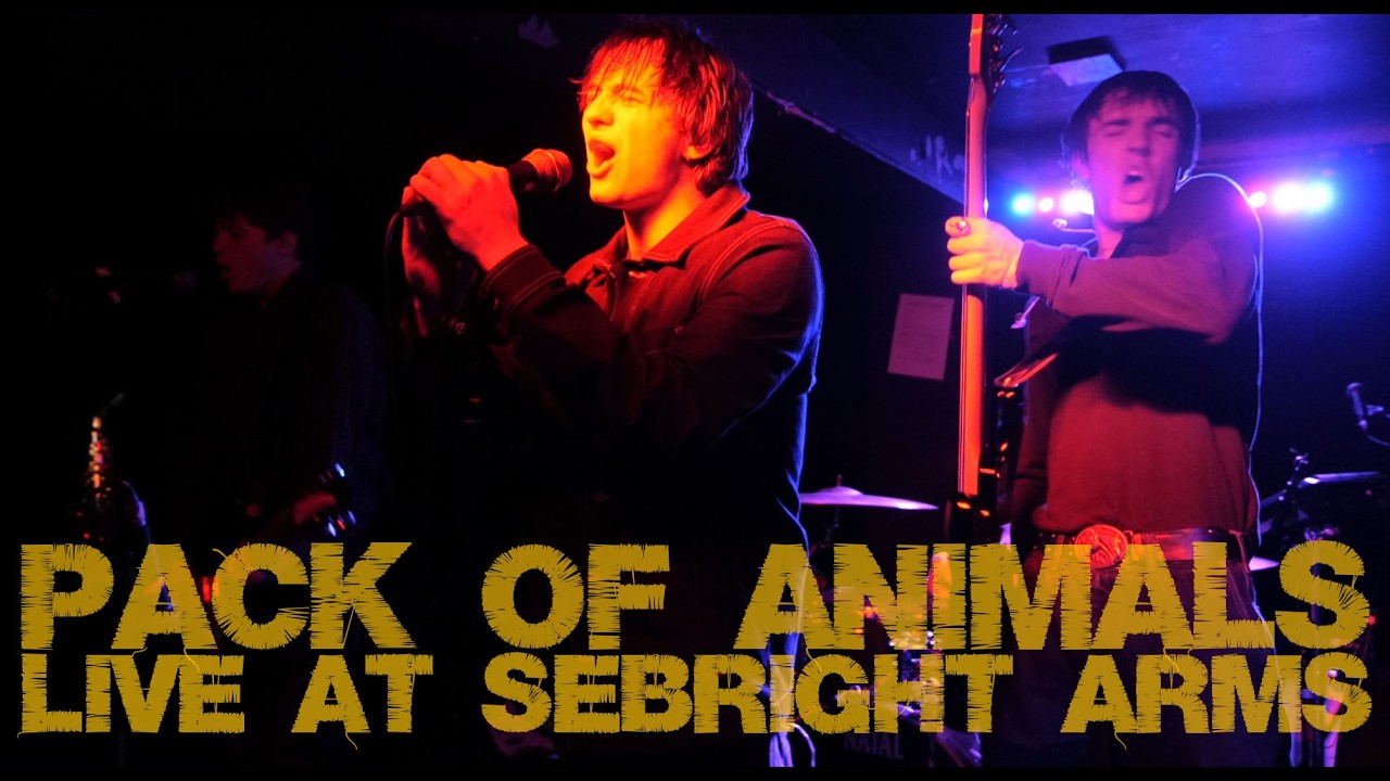 Pack of Animals @ Sebright Arms 09/03/26