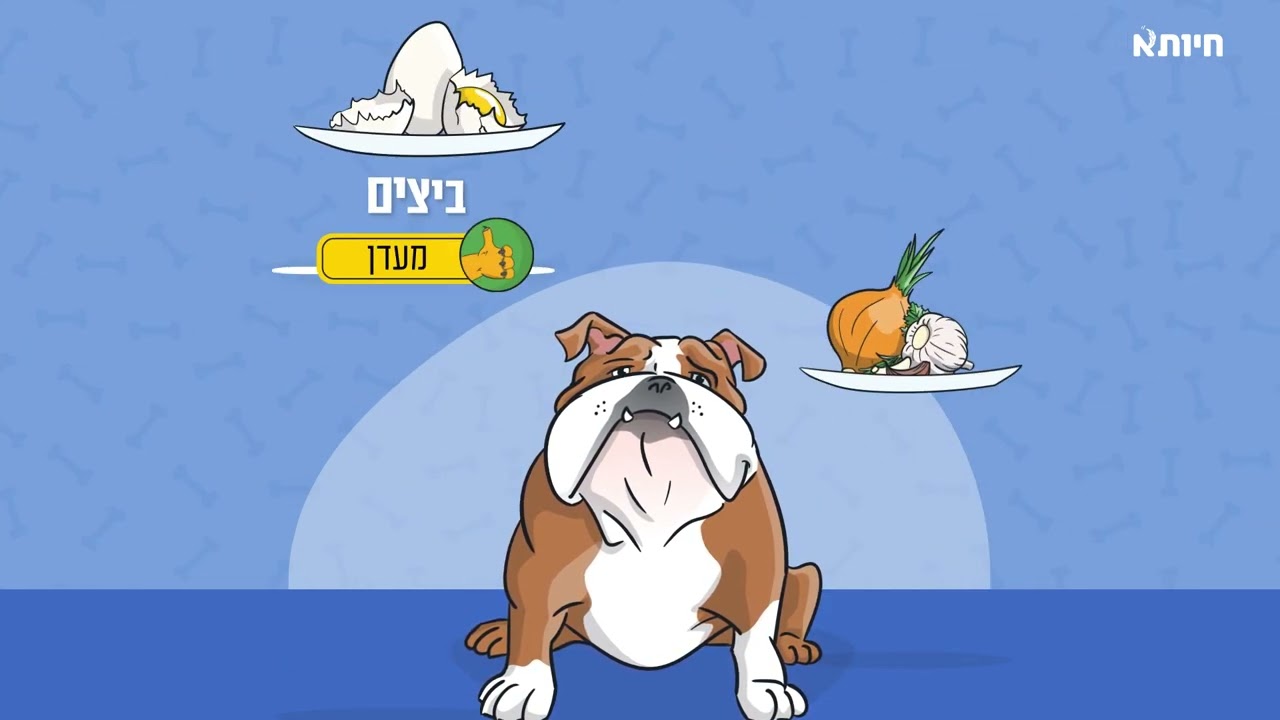 מה מותר לכלב לאכול? - מדריך מזון לכלבים