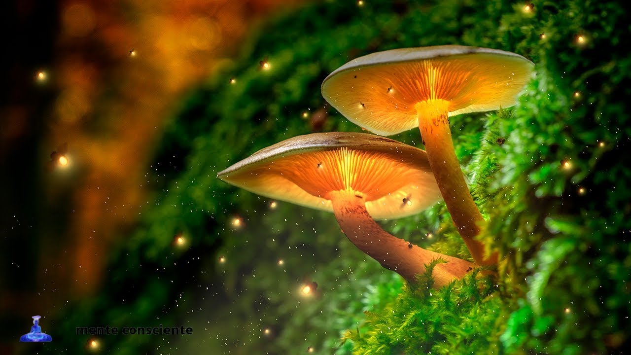 M&uacute;sica para ALEJAR A LAS PERSONAS T&Oacute;XICAS y a las MALAS ENERG&Iacute;AS