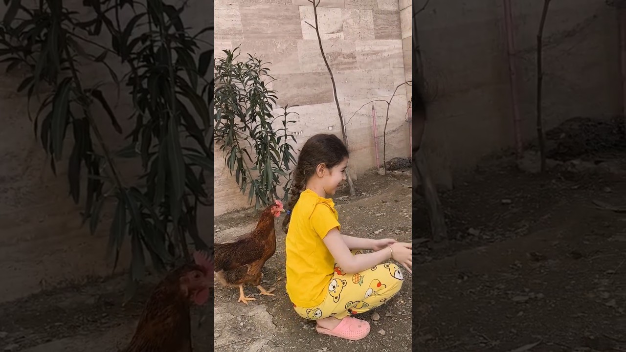 Kind Child Showing Love to Chickens 🐔❤️