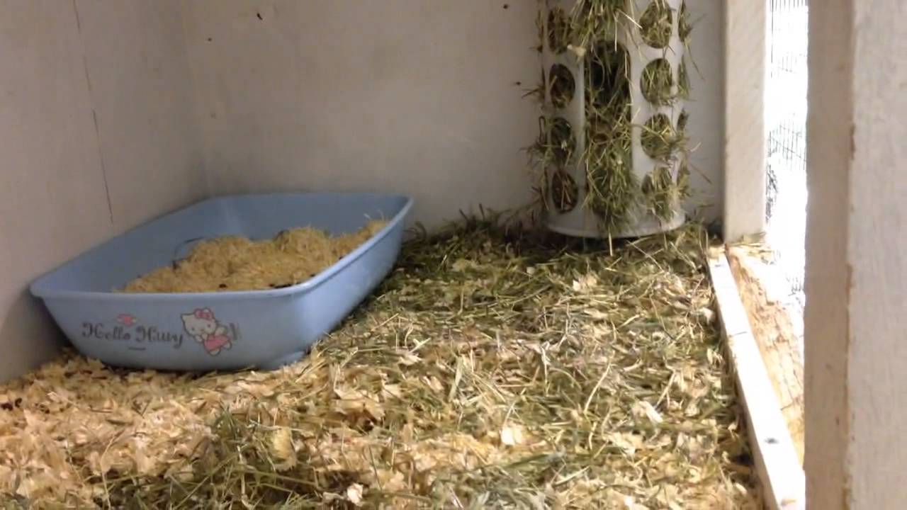 Kaningården - Louise