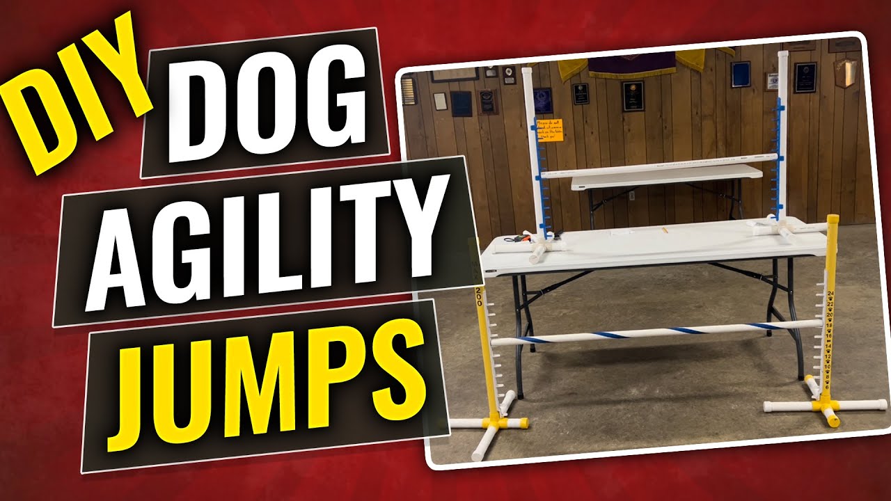 How to make dog agility jumps