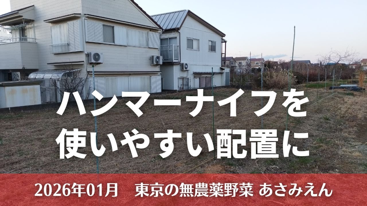 ブルーベリーを植える場所についての記録 20260113