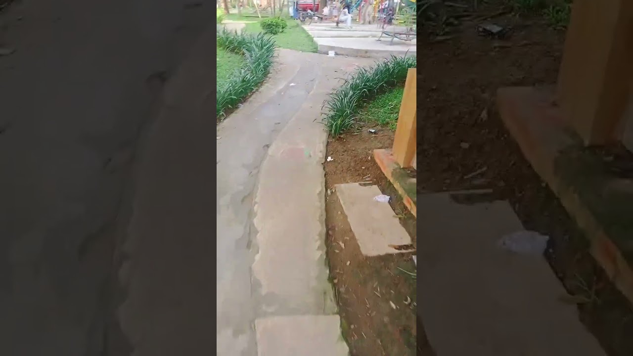 lari pagi di taman