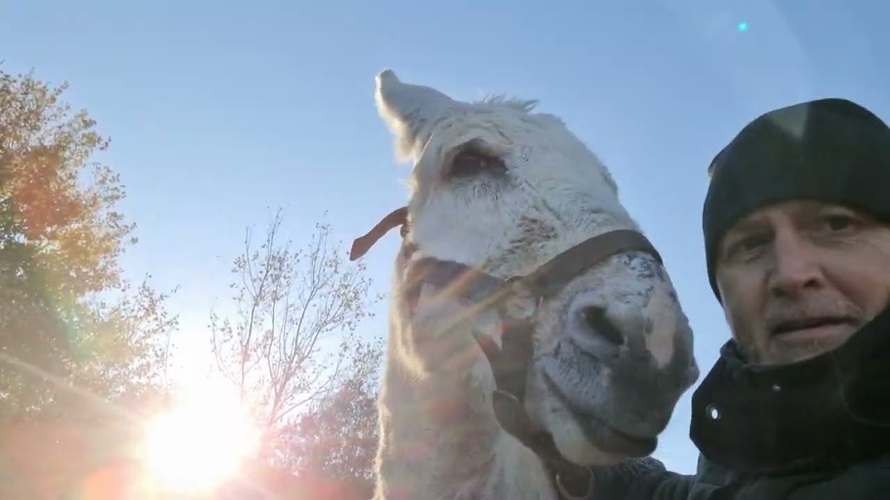 BARRY the rescue Donkey..THIS WILL WARM YOUR HEART! ❤