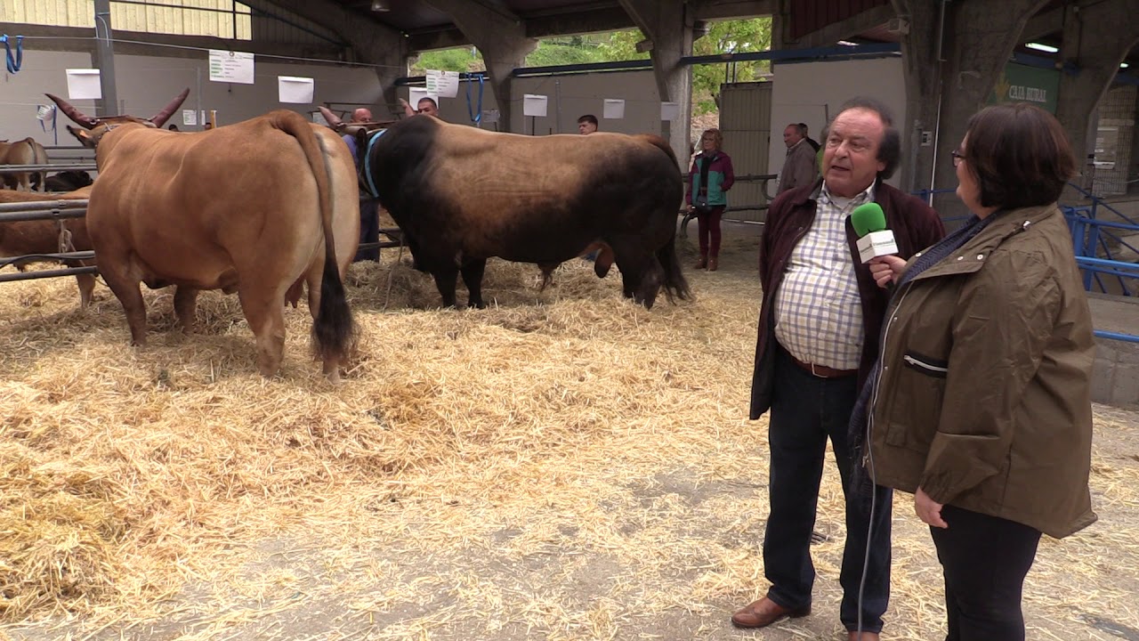 Entrevista a Jos&eacute; Antonio Carbajosa  /El Campo de Asturias