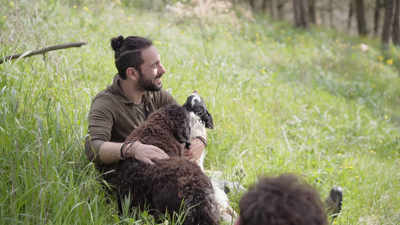 Truffle Hunting in Tuscany - Diacceroni Experiences, Volterra (Italy)