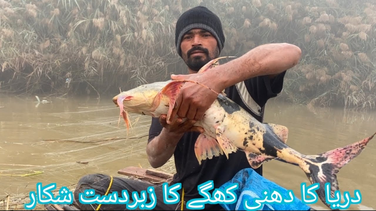 Dariaye Foji khaga ka shikar | River Fouji Khaga fish hunting | Khalil Shikari