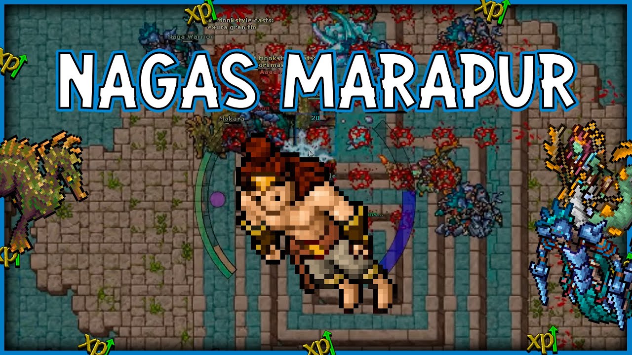 Nagas Marapur | 5.2KK EXP Raw | 330+ Monk | Tibia