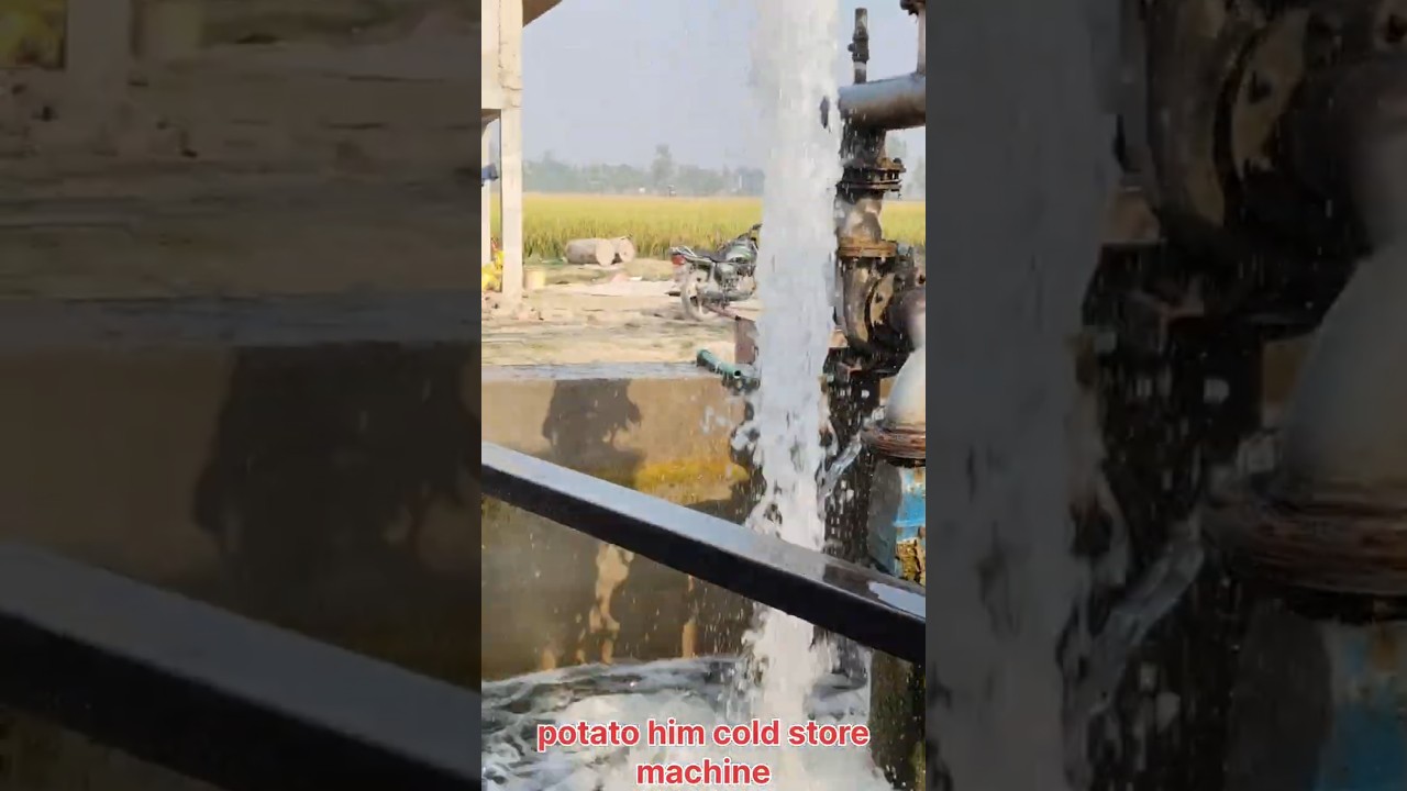 Potato him cold store