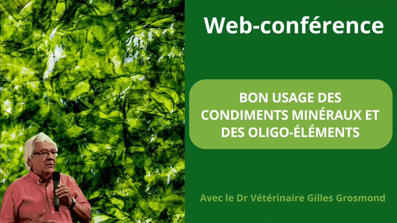 Web-conférence : Bon usage des condiments minéraux et oligos-éléments