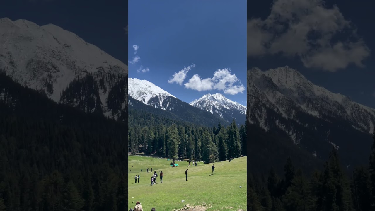 This is Baisaran Valley where the attack happened yesterday. #kashmir #pahalgam #attack