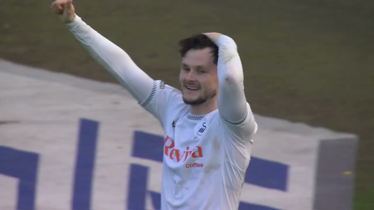 Swansea City v Sheffield Wednesday Highlights