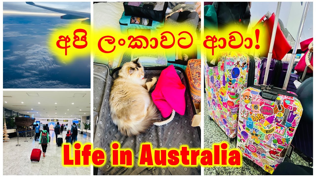 Melbourne to Colombo ගුවන් ගමන | Luggage Packing | Sinhala Vlog🇱🇰| Day in My Life Australia🇦🇺
