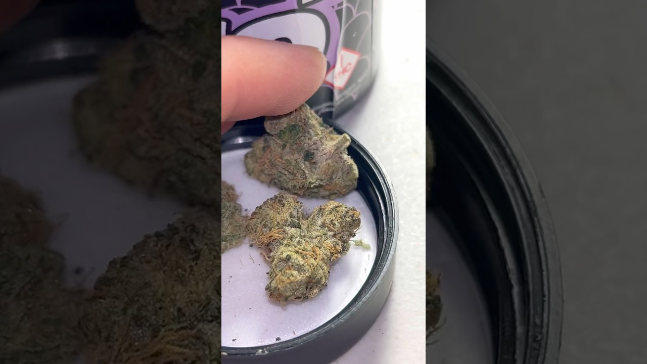 ZERBERT strain review