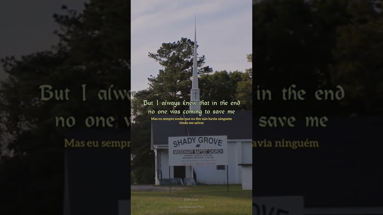 Sun Bleached Flies - Ethel Cain (Lyrics + Tradução)