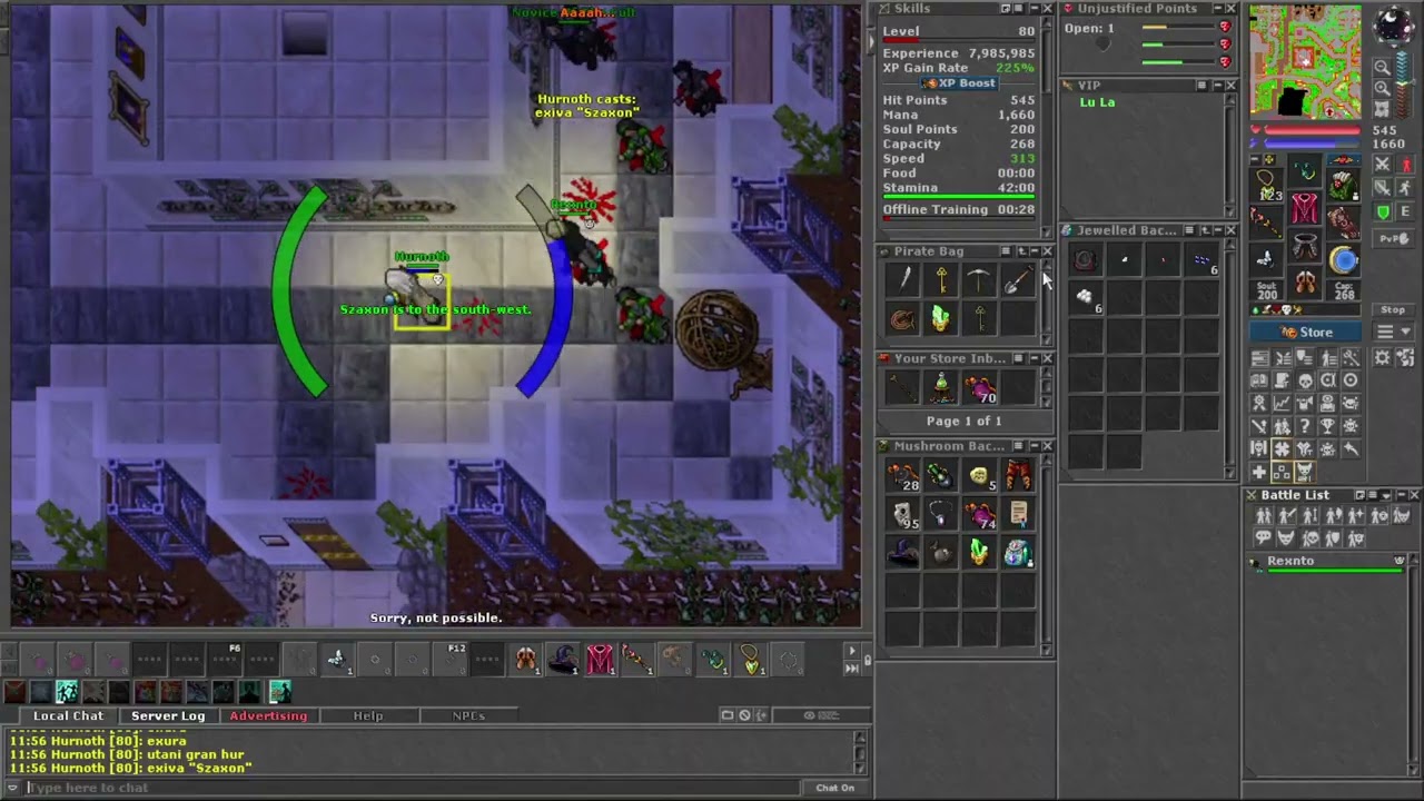 Tibia PK Peloria - Szaxon 62 Elder Druid (Loot)