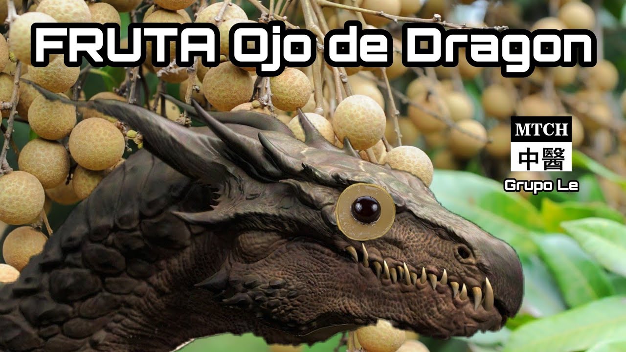 La fruta qu&eacute; todos quieren, ojo de Dragon (龍眼 longyan)