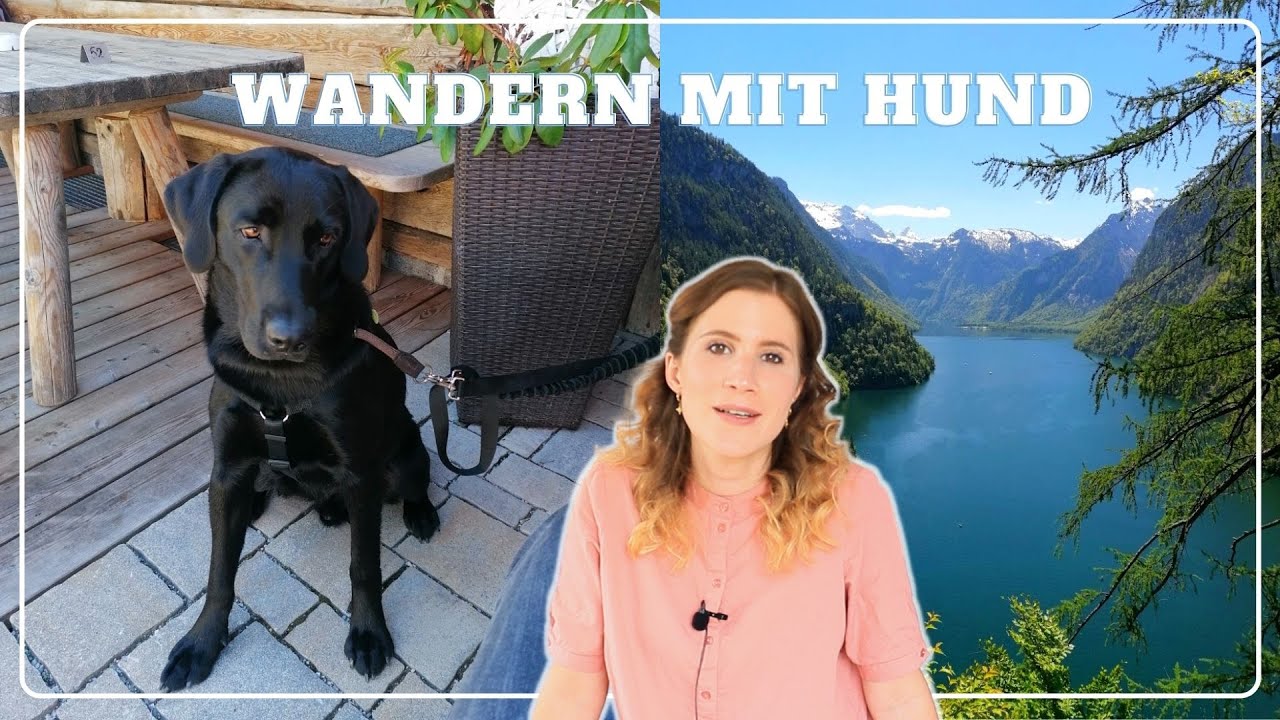 Urlaub in Bayern mit Hund   Chiemsee, Königssee, Tiroler Ache, Wandern zur Taubenseehütte