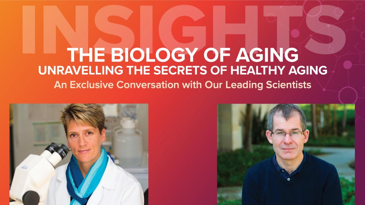 The biology of aging: Unravelling the secrets of healthy aging