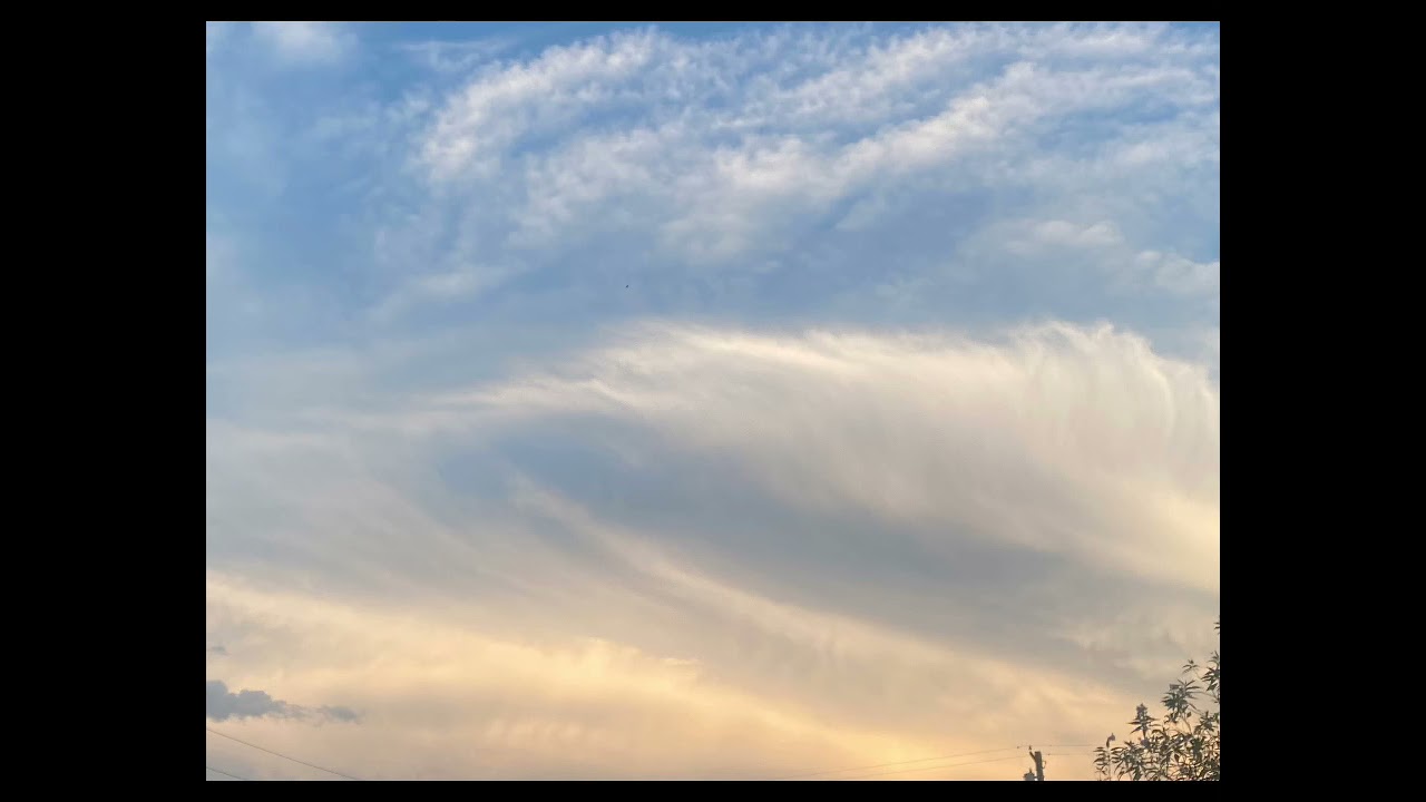 JEOd Art 2021 Continued