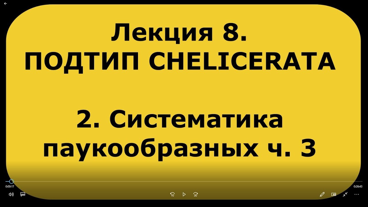 Зоология беспозвоночных. Лекция 8. Подтип  CHELICERATA. Систематика паукообразных ч. 3