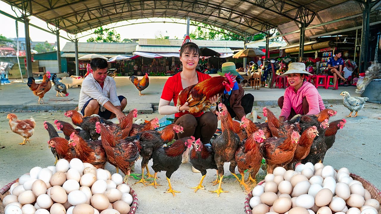 TIMELAPSE -- Harvest Many Unique Giant Chicken Rooster & 1000+ Chicken Eggs, Go to Market Sell