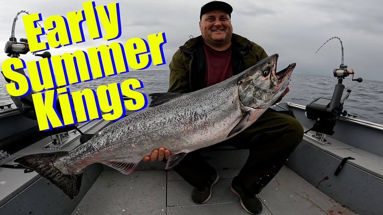 Early Summer King Salmon