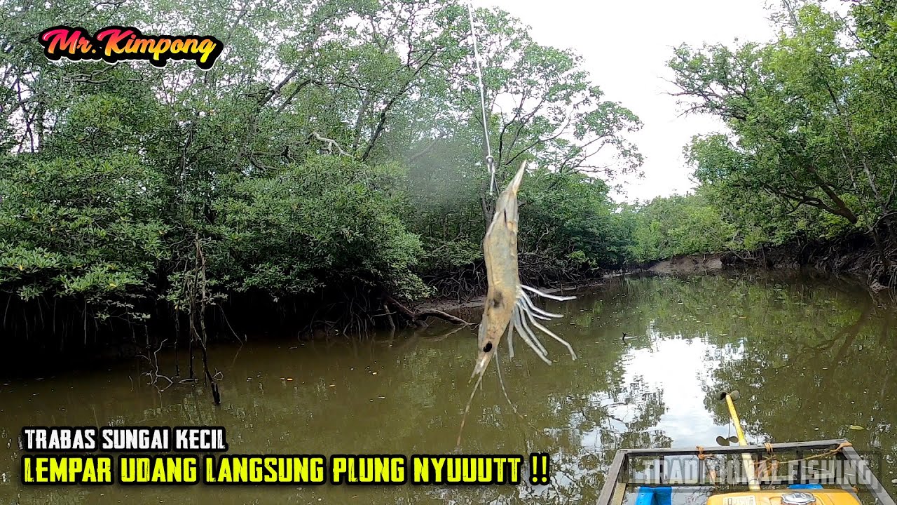 AKIBAT SPOT GAK PERNAH DI PANCING, BEGITU LEMPAR UMPAN LANGSUNG DI SIKAT