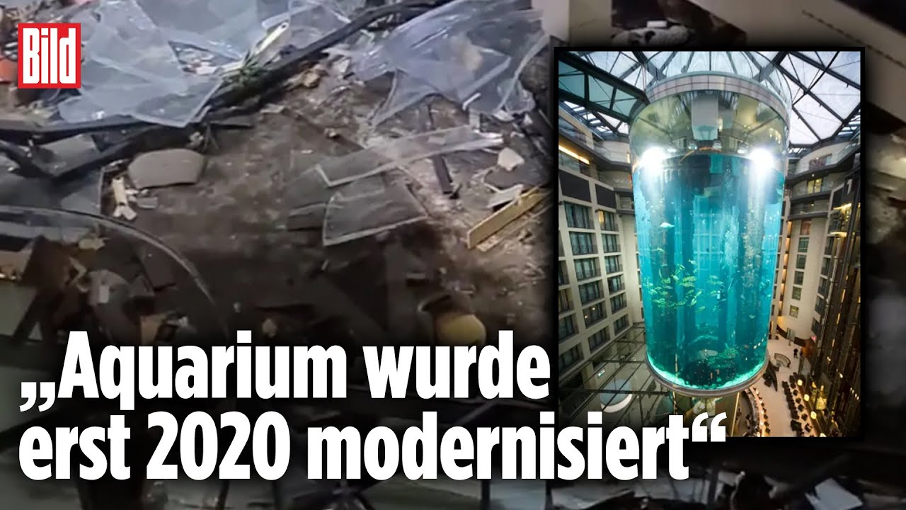 Aquarium-Explosion in Berlin: Sogar eine Erdbebenstation schlug aus