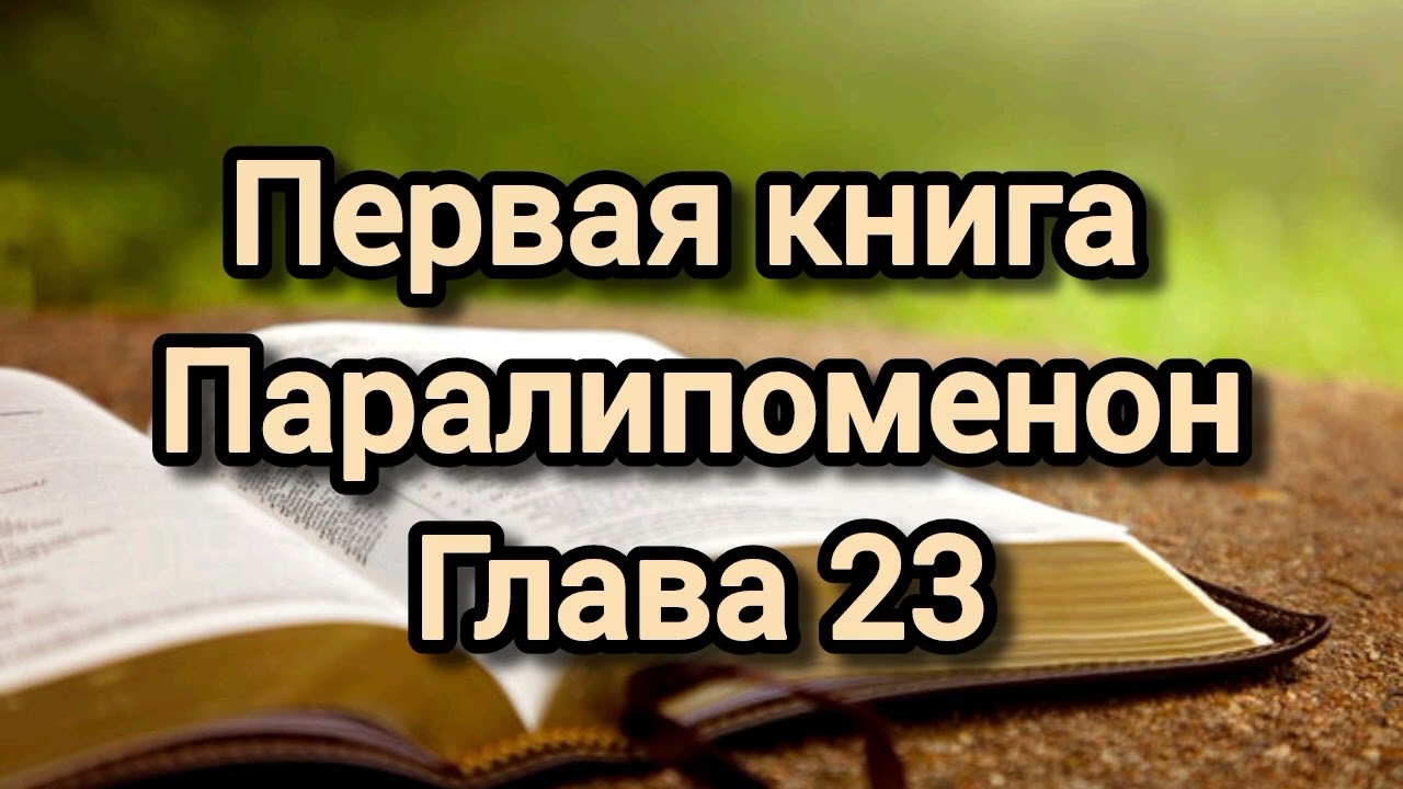 Первая книга Паралипоменон, глава 23