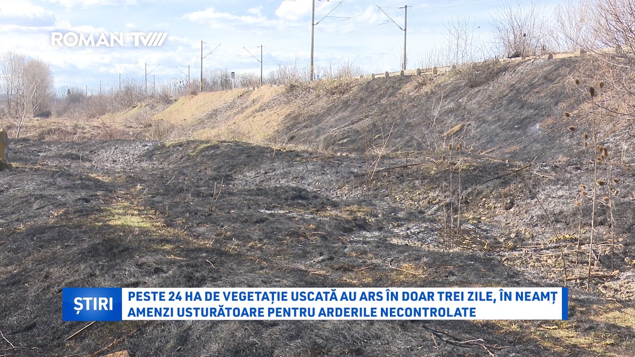 Peste 24 ha de vegetație uscată au ars în doar trei zile, în Neamț. Amenzi usturătoare