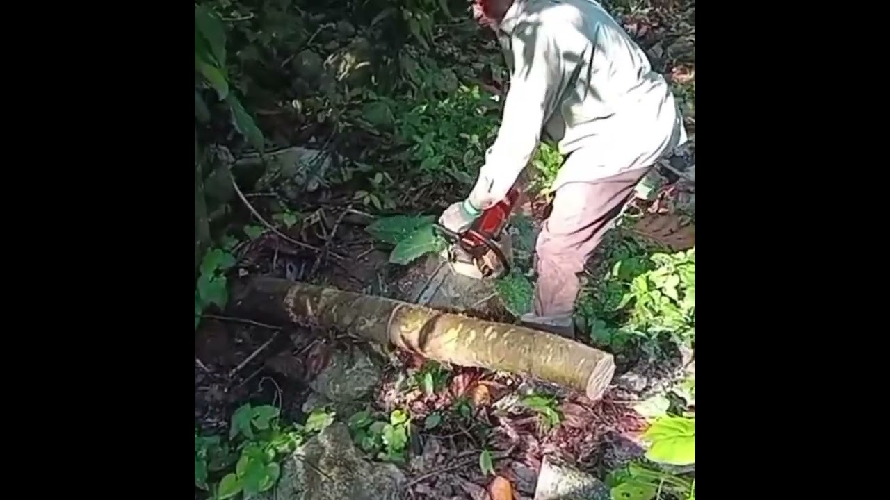 Cleaning up Paradise 