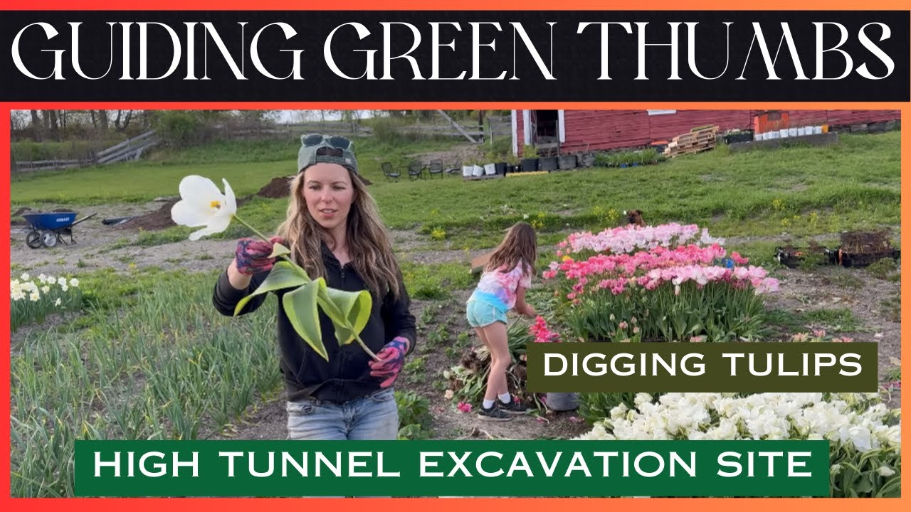 HIGH TUNNEL EXCAVATION / DIGGING UP TULIPS / HOME GARDEN UPDATE