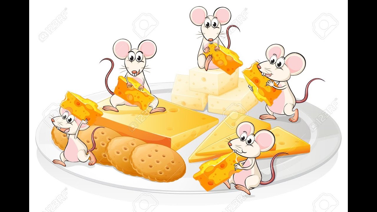 Los gratinadores - SALUD MENTAL Vevo