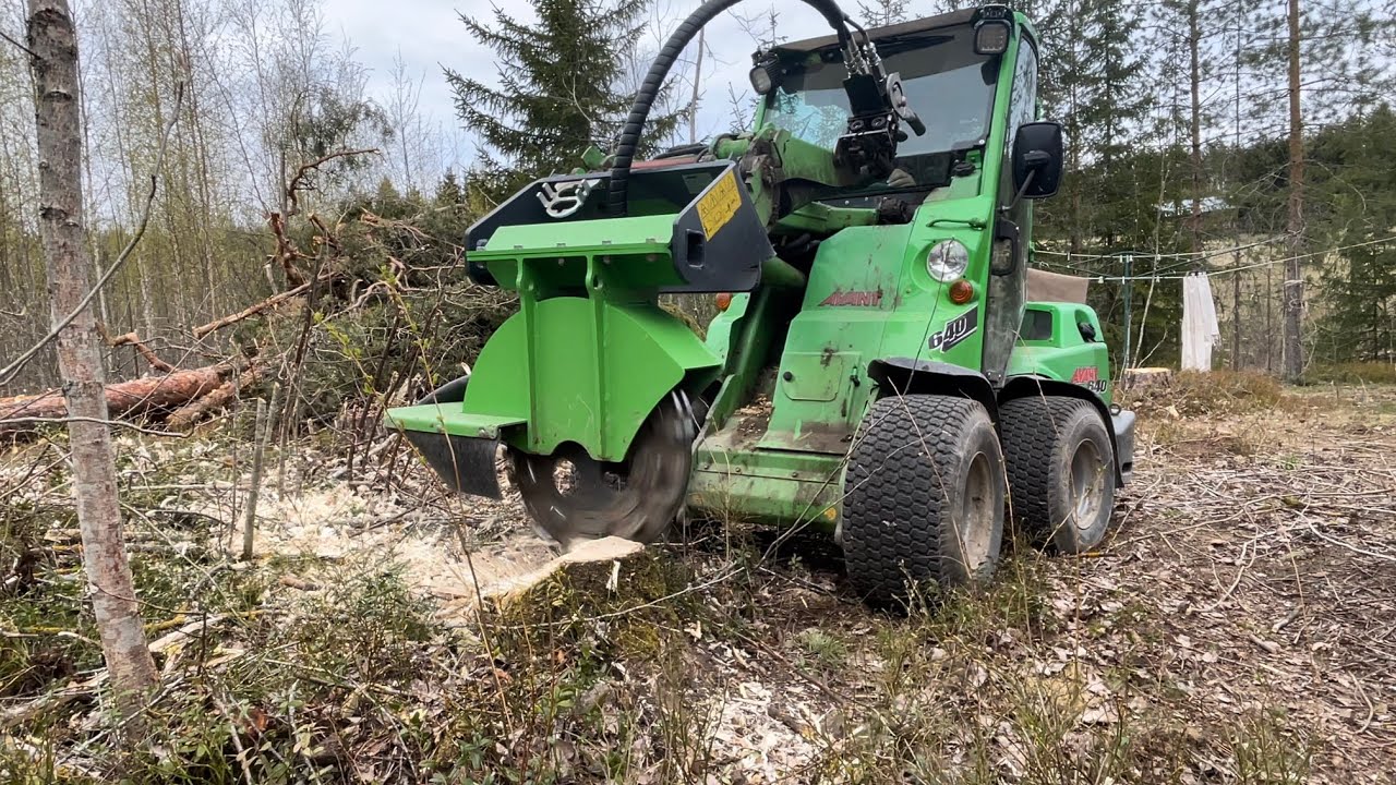 Avant ja kantojyrsin. Haapapuun kannon poisto pihapiiristä.