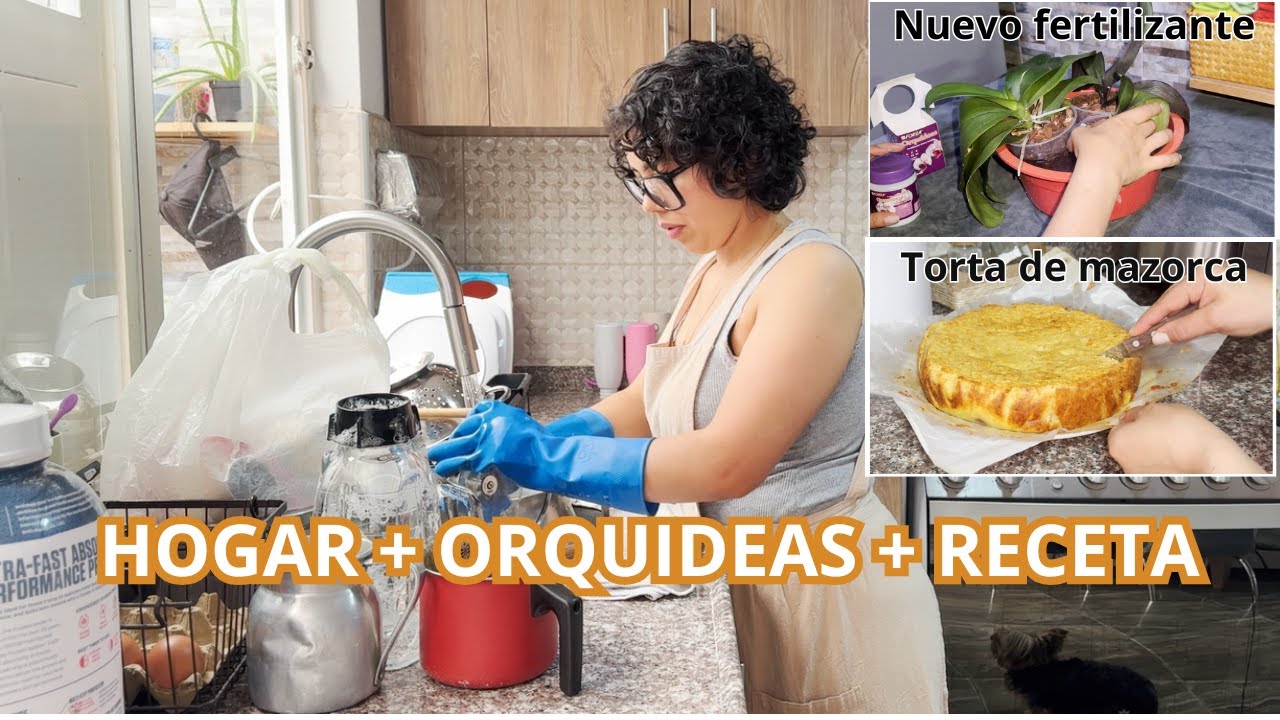 ✨COMPRANDO DESPENSA INICIO ESCOLAR | NUEVO SUSTRATO DE ORQUIDEA🌷 RECETA TORTA DE MAZORCA