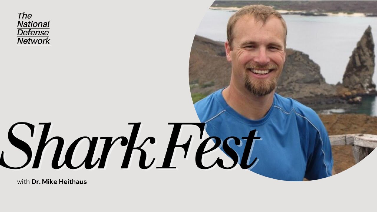 Celebrating &ldquo;Shark Fest&rdquo; on Nat Geo with Dr Mike Heithaus