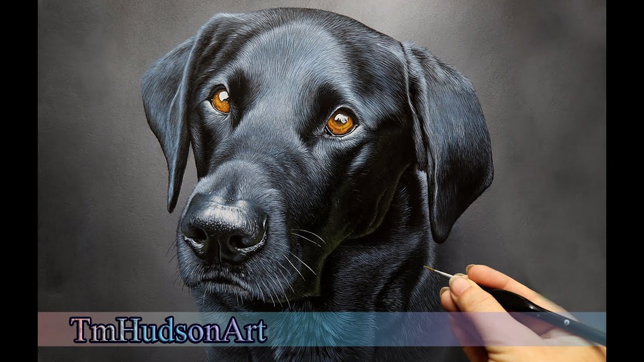 How to paint a realistic black labrador in acrylic