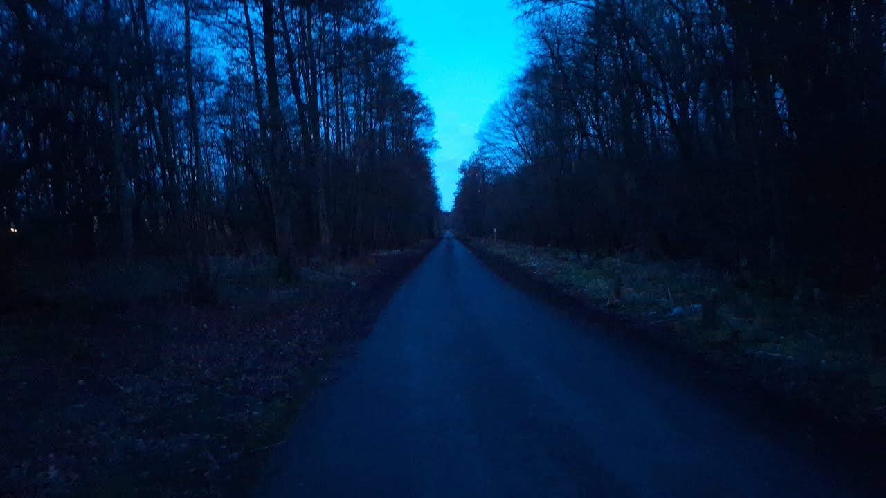 WALKING 50 FRODSHAM FOREST DARK AND SCARY 