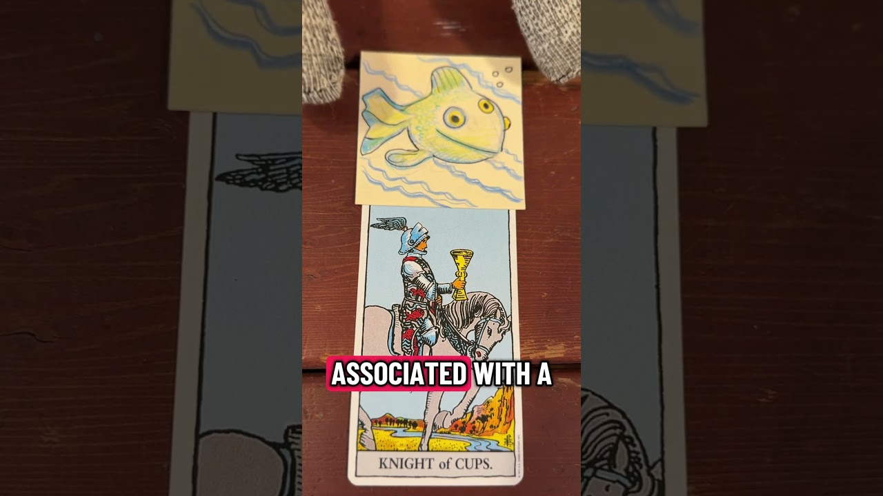 Lessons with Sock Monkey- Knight of Cups. -#fyp#tarotlessons#taroteveryday