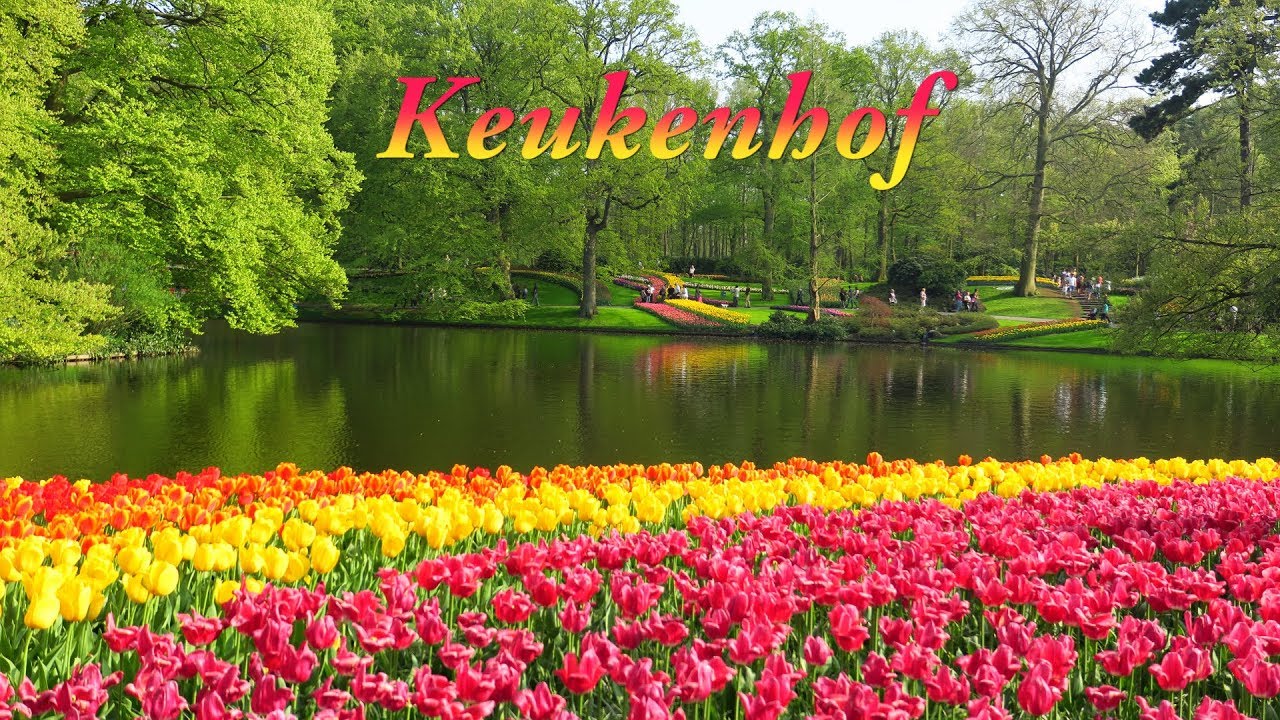 Keukenhof 2018