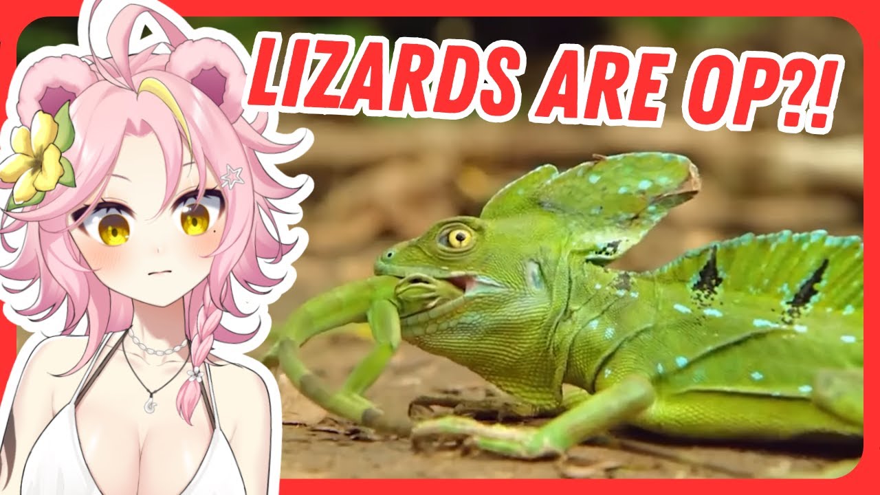 The ULTIMATE Lizard Tier List? | Maddiekuma Reacts