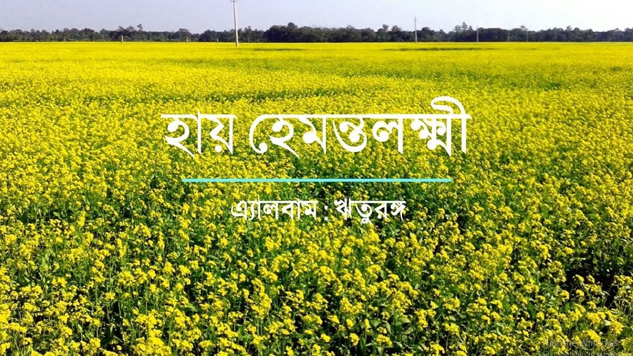 হায় হেমন্তলক্ষ্মী || Haay hemonto lakshmi || এ্যালবাম : ঋতুরঙ্গ || Geetabitan Bangladesh