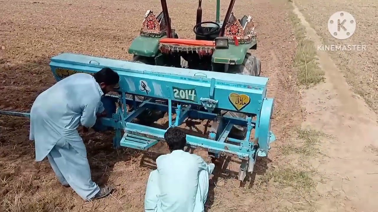 کپاس کی کاشت۔مئی 15-2023