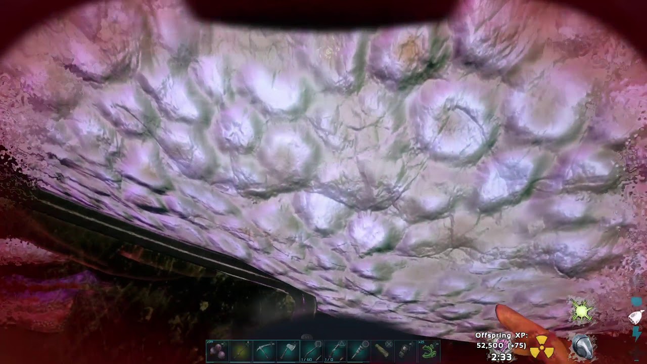 Ark. reaper queen impregnation and birth
