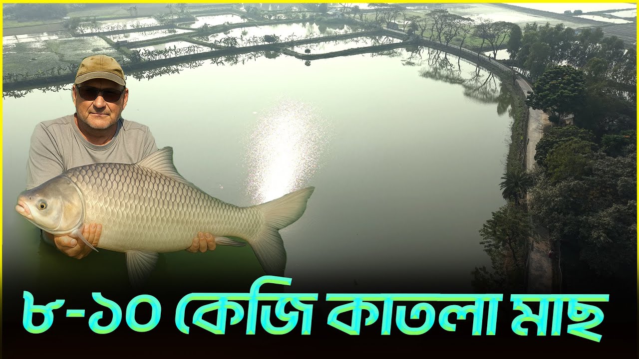 ৮-১০ কেজি কাতলা মাছ কিভাবে বানায় !! কার্প মাছের মোটা-তাজাকরণ || Shakib Agro || কার্প ফ্যাটেনিং